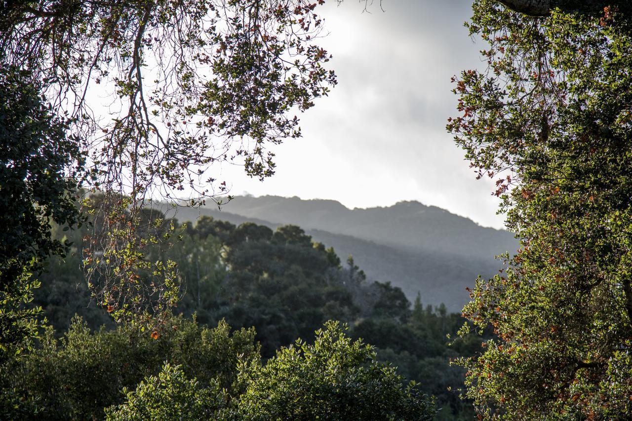 Hidden Valley Inn Carmel Valley Exteriör bild